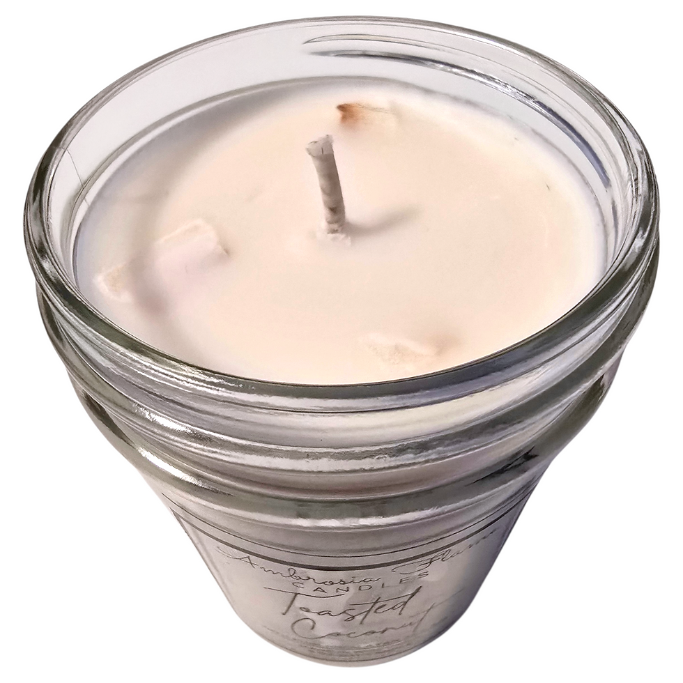 Toasted Coconut Natural Scented Soy Candle Store Madison WI