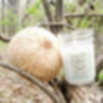 Thumbnail: Coconut & Santal Natural Scented Soy Candle