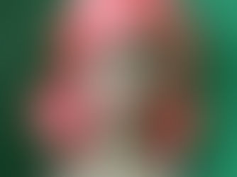 Pink Lemonade Poppy NRFB (PP6) -- $250