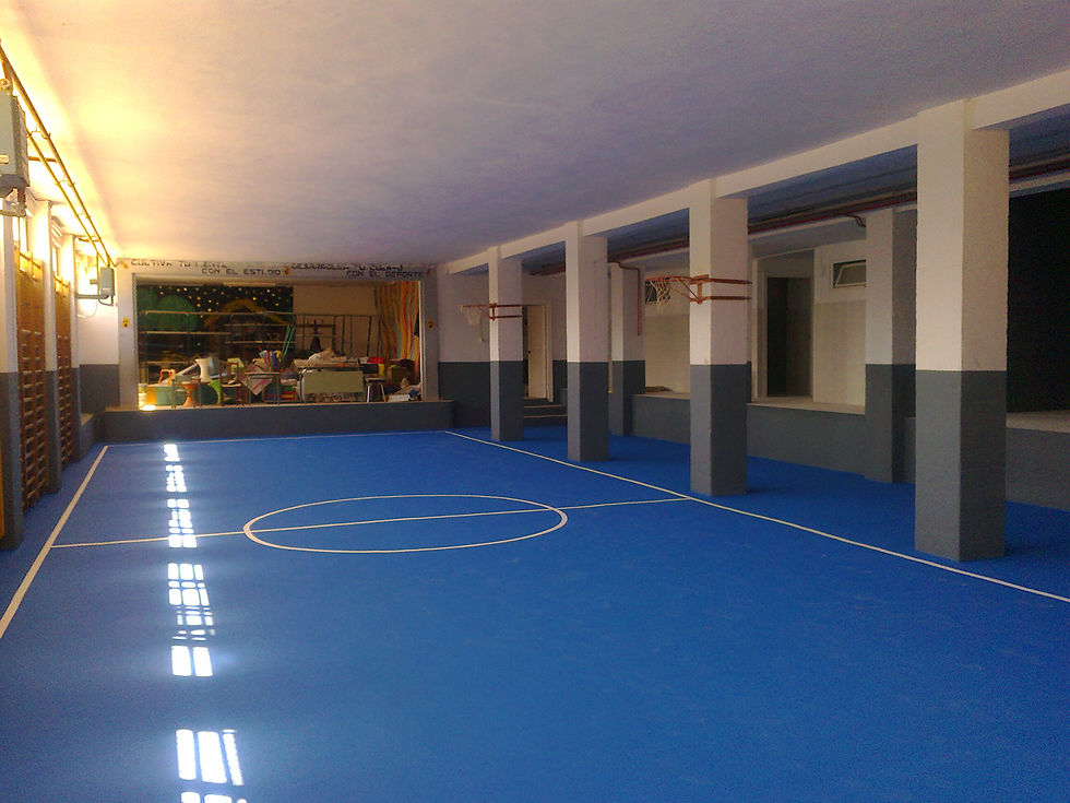 REFORMA GIMNASIO C.I.P. 'S.JOSÉ DE C