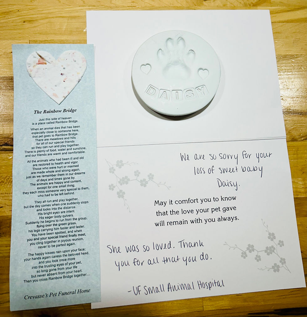 card about cavalier daisy