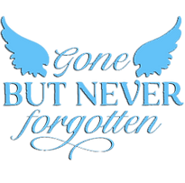 15e88a9e09b2690bde7d84c44324230c copy.png