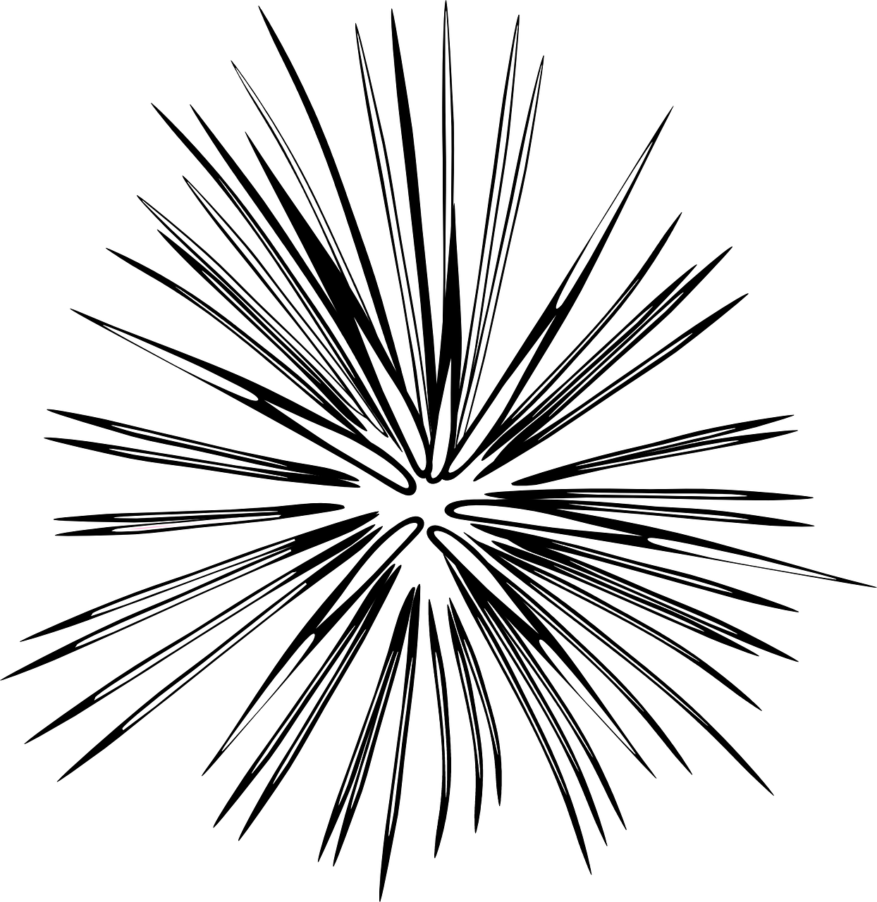 fireworks-305732_1280.webp