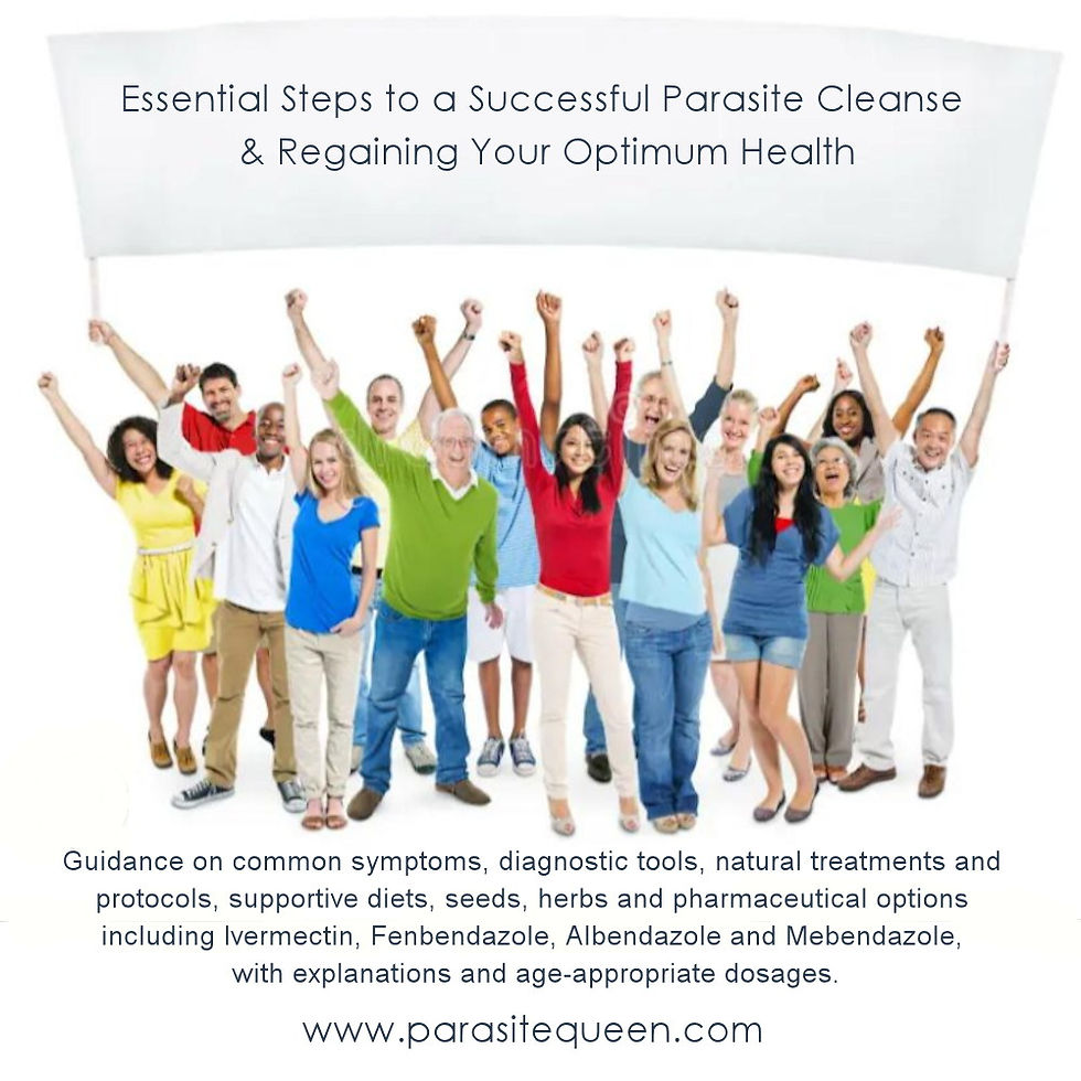 Close-up view of herbal supplements on wooden table