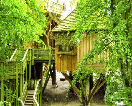 Planet 14 Landscapes award winning garden transformations, landscaping and construction services in Essex & Suffolk.