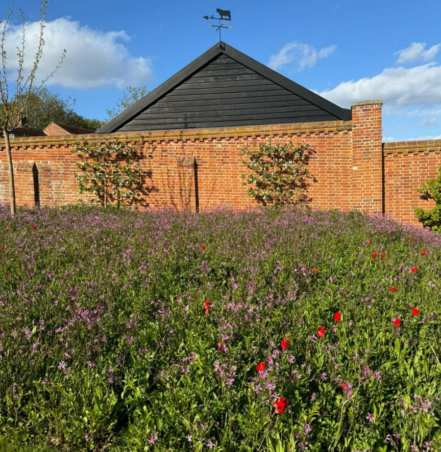 Professional garden planting design and soft landscaping in Essex and Suffolk by Planet 14 Landscapes, including trees, hedges, shrubs, grasses and perennial planting.