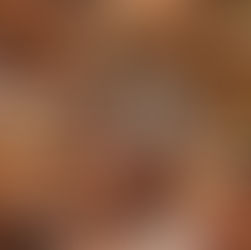 As winter approaches, woodland maintenance focuses on our bird and wildlife.