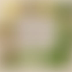 An Extensive List of Foods That Support Both Your Immune System and Your Parasite Cleanse.