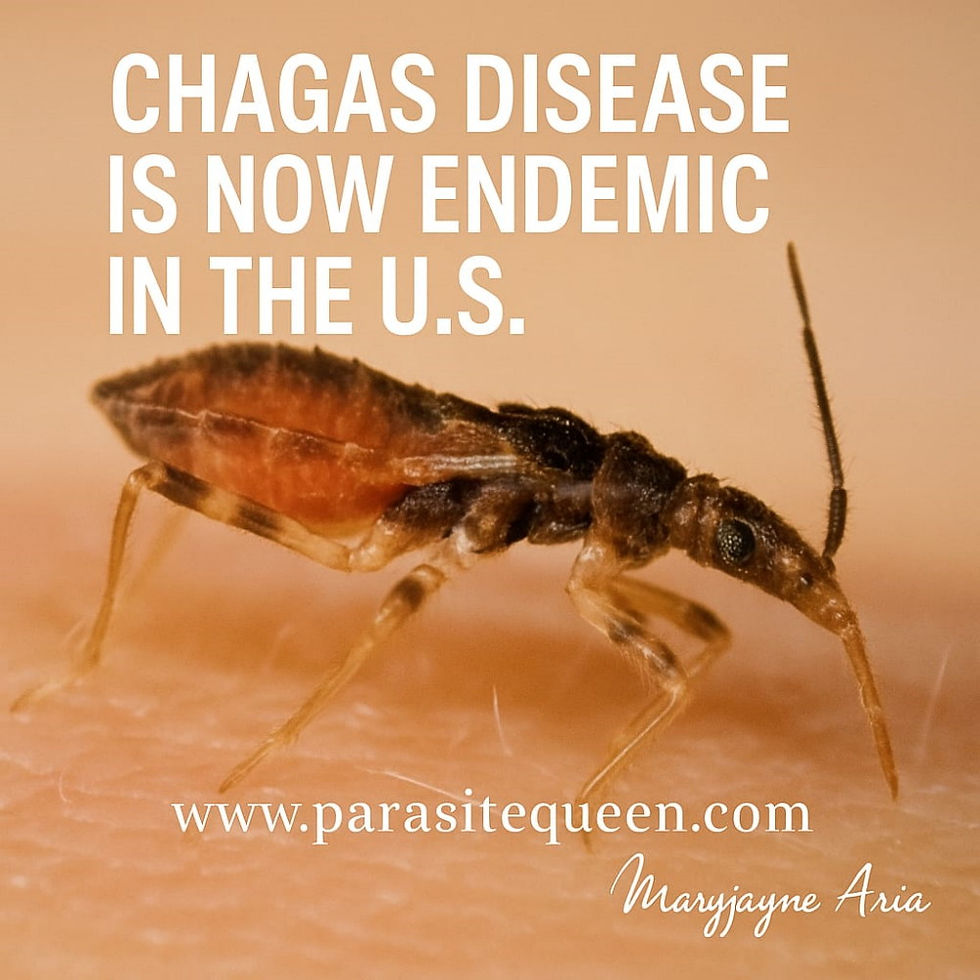 Close-up view of herbal supplements on wooden table