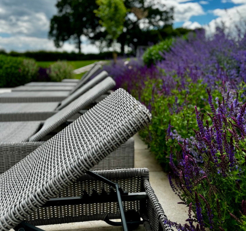 Professional garden planting design and soft landscaping in Essex and Suffolk by Planet 14 Landscapes, including trees, hedges, shrubs, grasses and perennial planting.