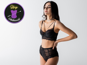          Coaching for Web Models
