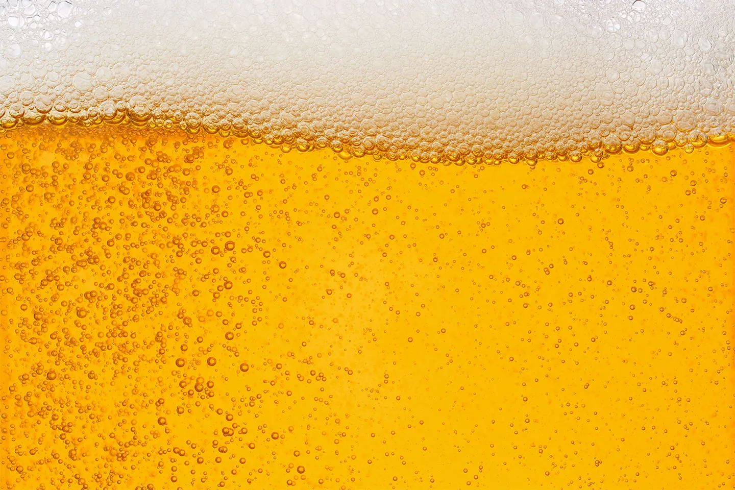 SkodenBrew_Beer copy.webp