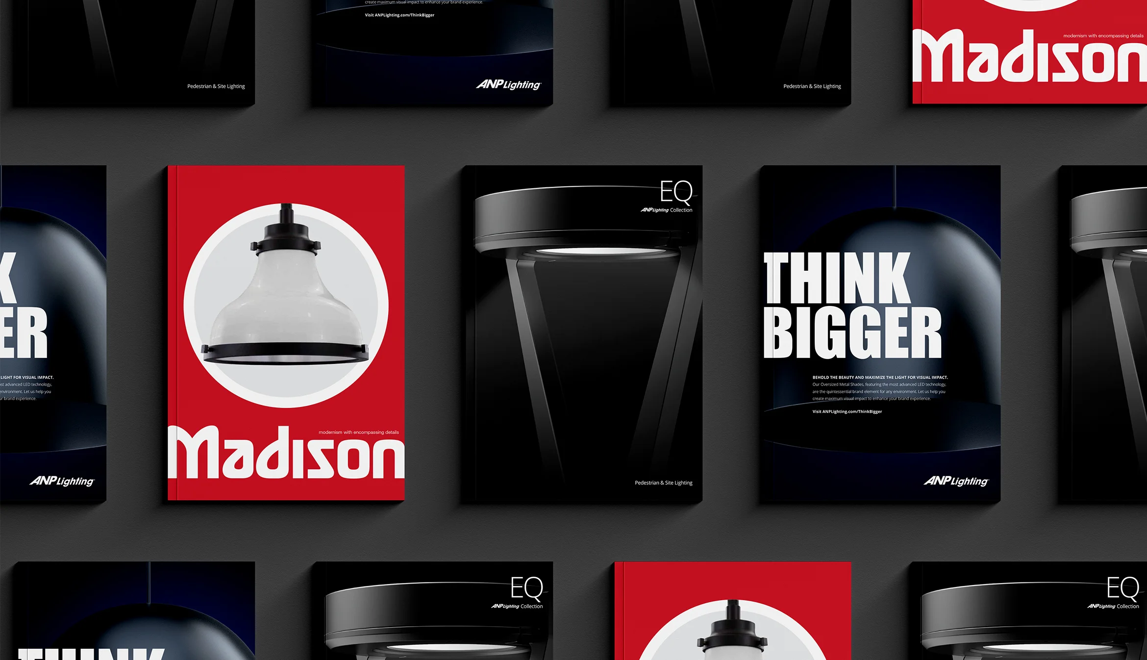 ANP_WebsiteMockup_02 copy.webp