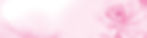 Fond Rose pastel.jpg