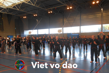 Section Viet vo dao ASH