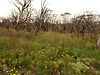 DSC00329.JPG
