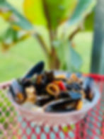 Seafood Paella
