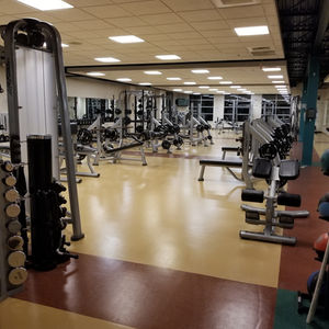Weight Lifters