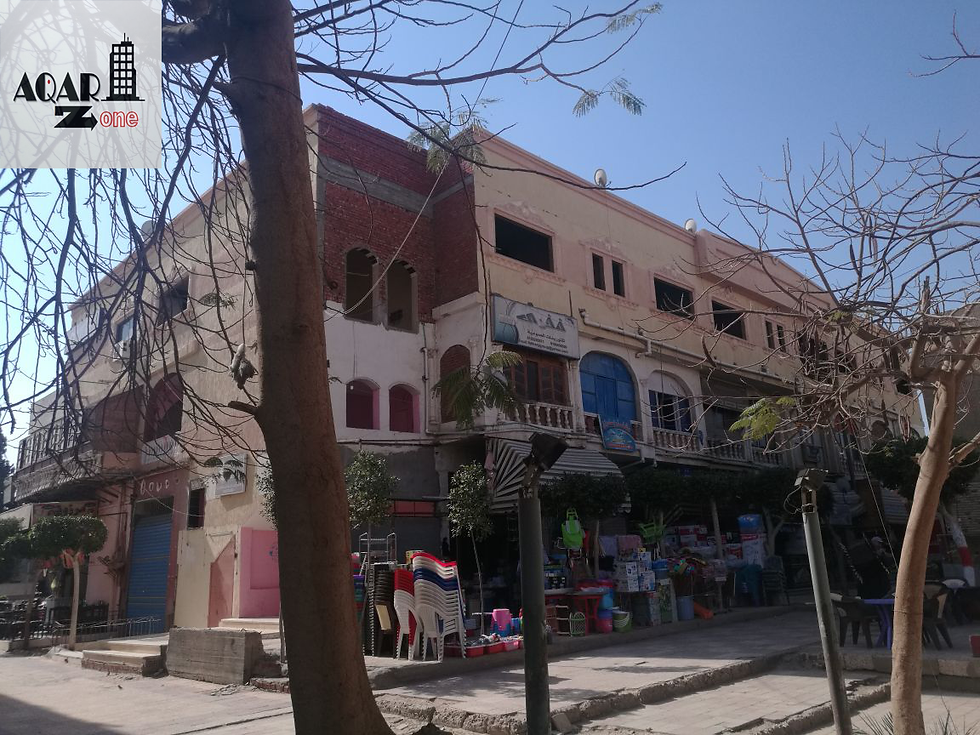 الدنماركية 2