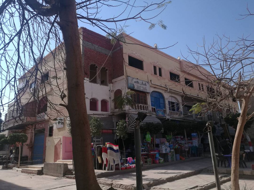 الدنماركية 4