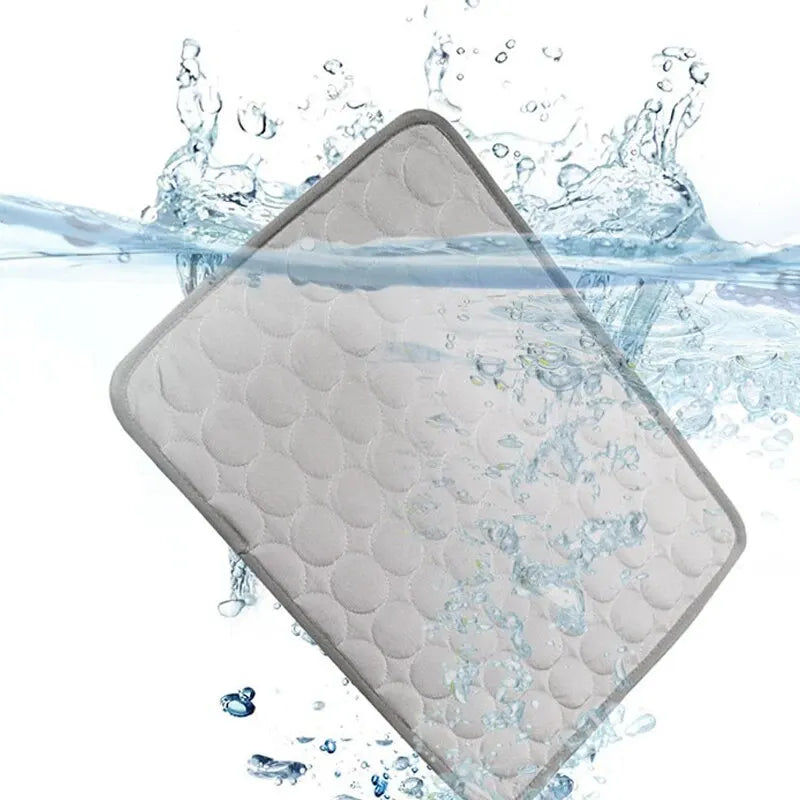 Miniature : Product Image