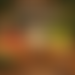 Les 5 aliments pour soutenir votre microbiote avant les fêtes