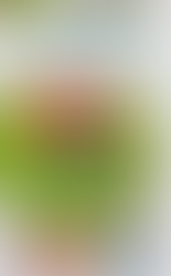 Ebook offert : 5 recettes simples