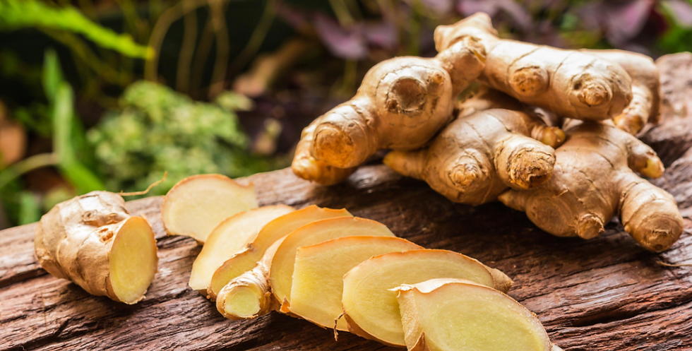 Le gingembre, une des plantes indispensables en hiver pour se réchauffer.
