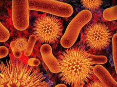 Ballonnements, douleurs, transit perturbé... Mais de quoi souffrez-vous vraiment ? La confusion entre SII et SIBO retarde souvent la bonne prise en charge.