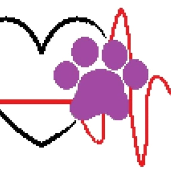 Writer: voiceforanimalsrescue