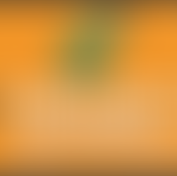 충성의 열매_6유형