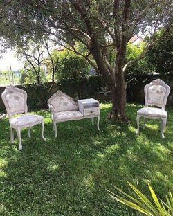 Giardino provenzale