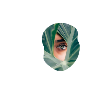 Deep Dive Clarity
