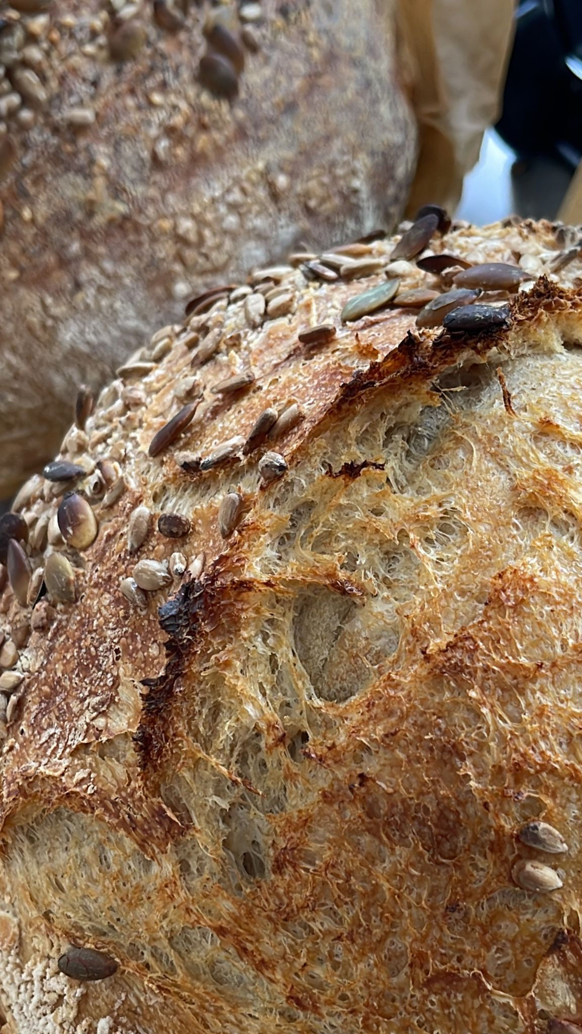 Superseeded Sourdough Ancient Grain (Thu)