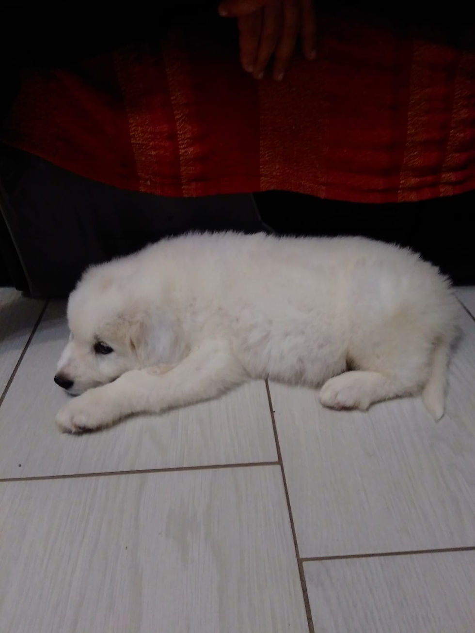 Steven