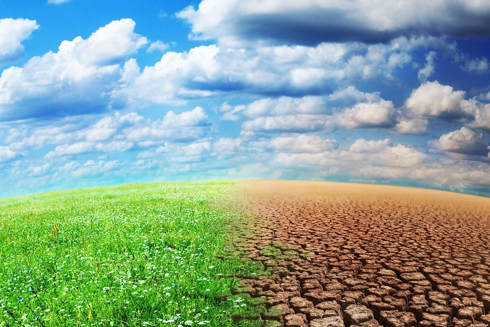 Prairie verte à gauche, désert aride à droite. Ciel bleu avec nuages. Contrastant entre nature et sécheresse, évoquant dualité et changement climatique.