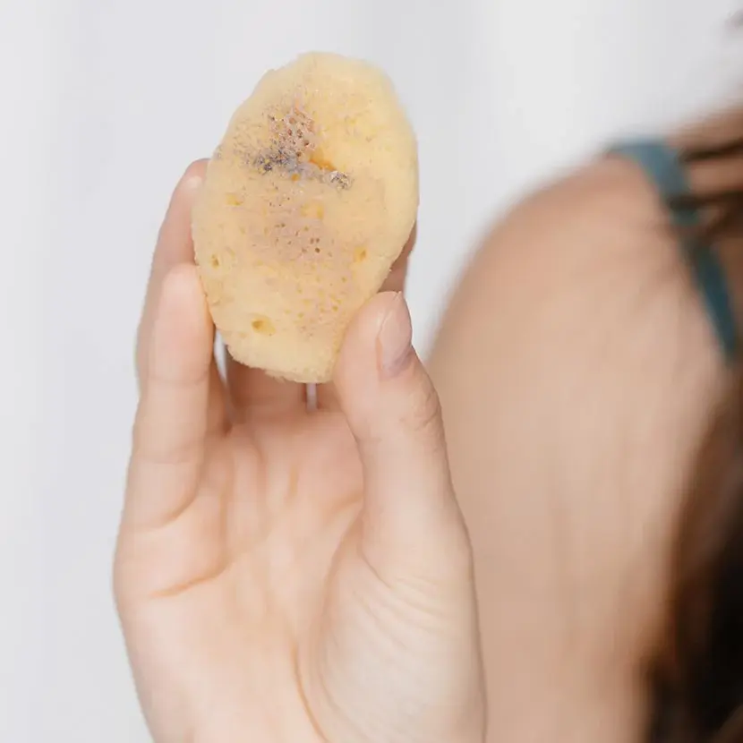 Sustainably raised ‘silk' Sea Sponge | Transcendence Skin