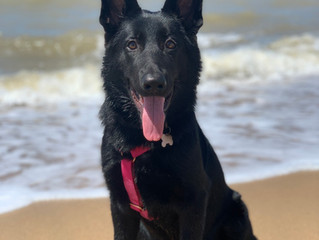 Nina