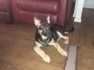 Sabina growing up