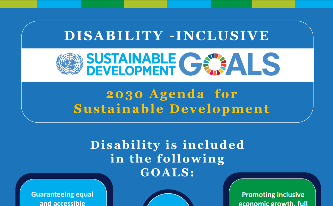 SDG inforgraphic image section