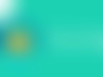 NFTs on Polygon: A Deep Dive into the NFT Ecosystem's Expansion