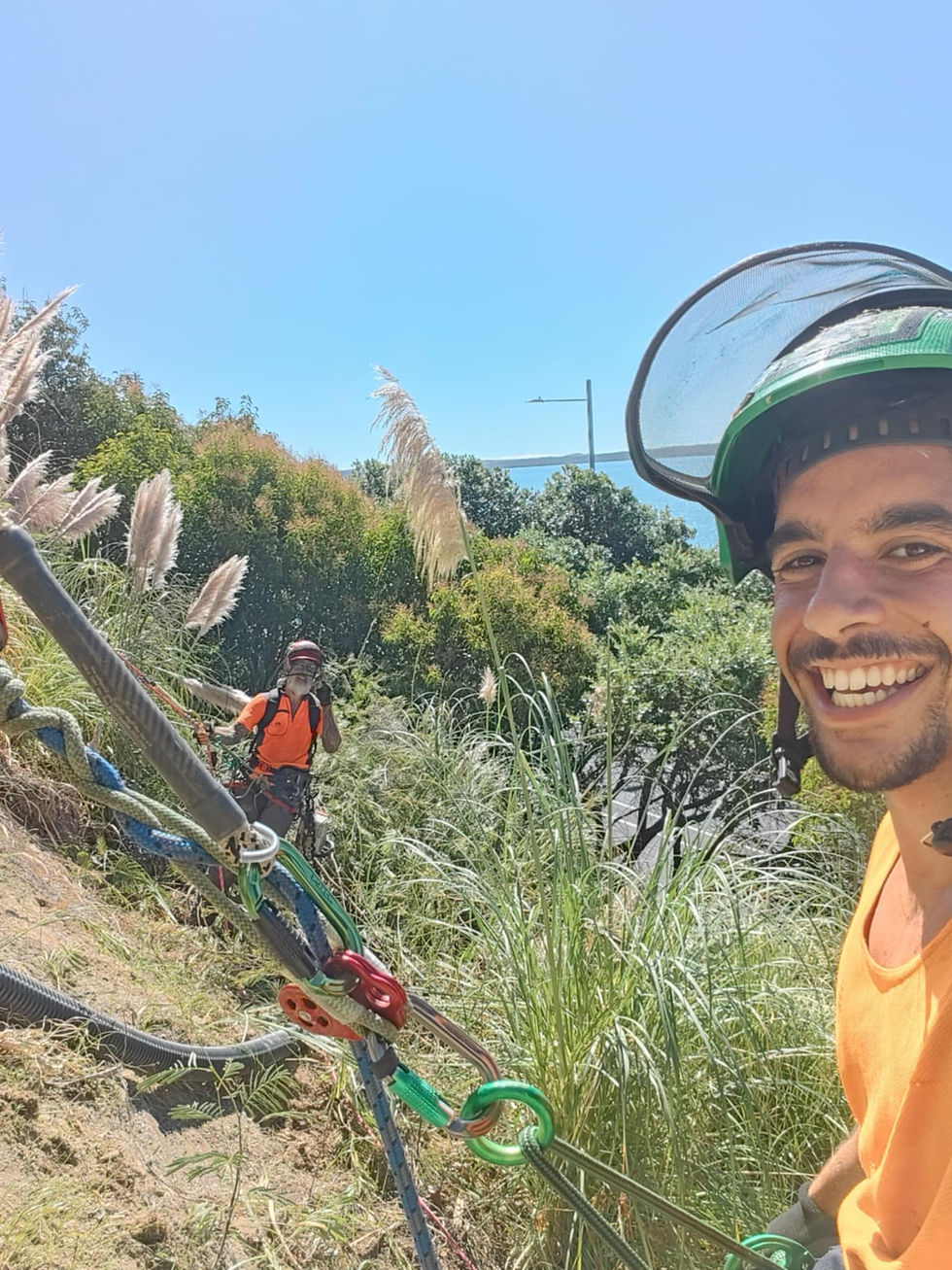 Luka and Keiran from Urban Arborists at Mission Bay