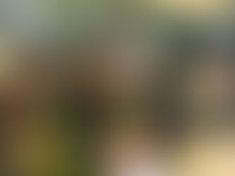 [자연환경해설사] 2024년 2차 해설시연 공통평가_08.06 (사)제주생태교육연구소