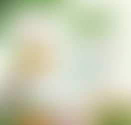 [ECOMAMA] 2월 에코마마 소식