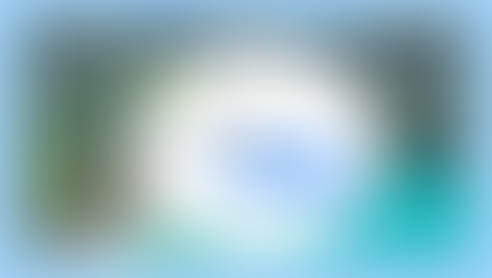 [제9기 생태관광 영리더스클럽_생태정보통팀] 지구를 보호해요! 영상 제작