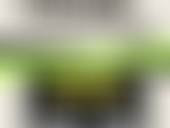 [기후부/한국생태관광협회] ‘제13기 생태관광 영리더스클럽’ 서포터즈 합격자를 발표합니다!