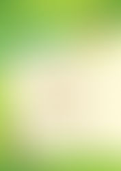 포천 지역 주민 생태관광 교육