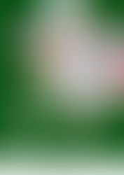 제6기 생태관광 영리더스클럽 모집