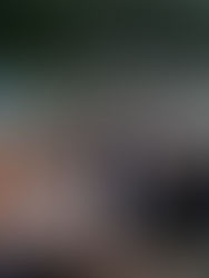 [제9기 생태관광 영리더스클럽_그린어스팀] 고창 고인돌·운곡습지 편