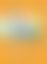 100일간의 버그존 일주-브이로그 공모전